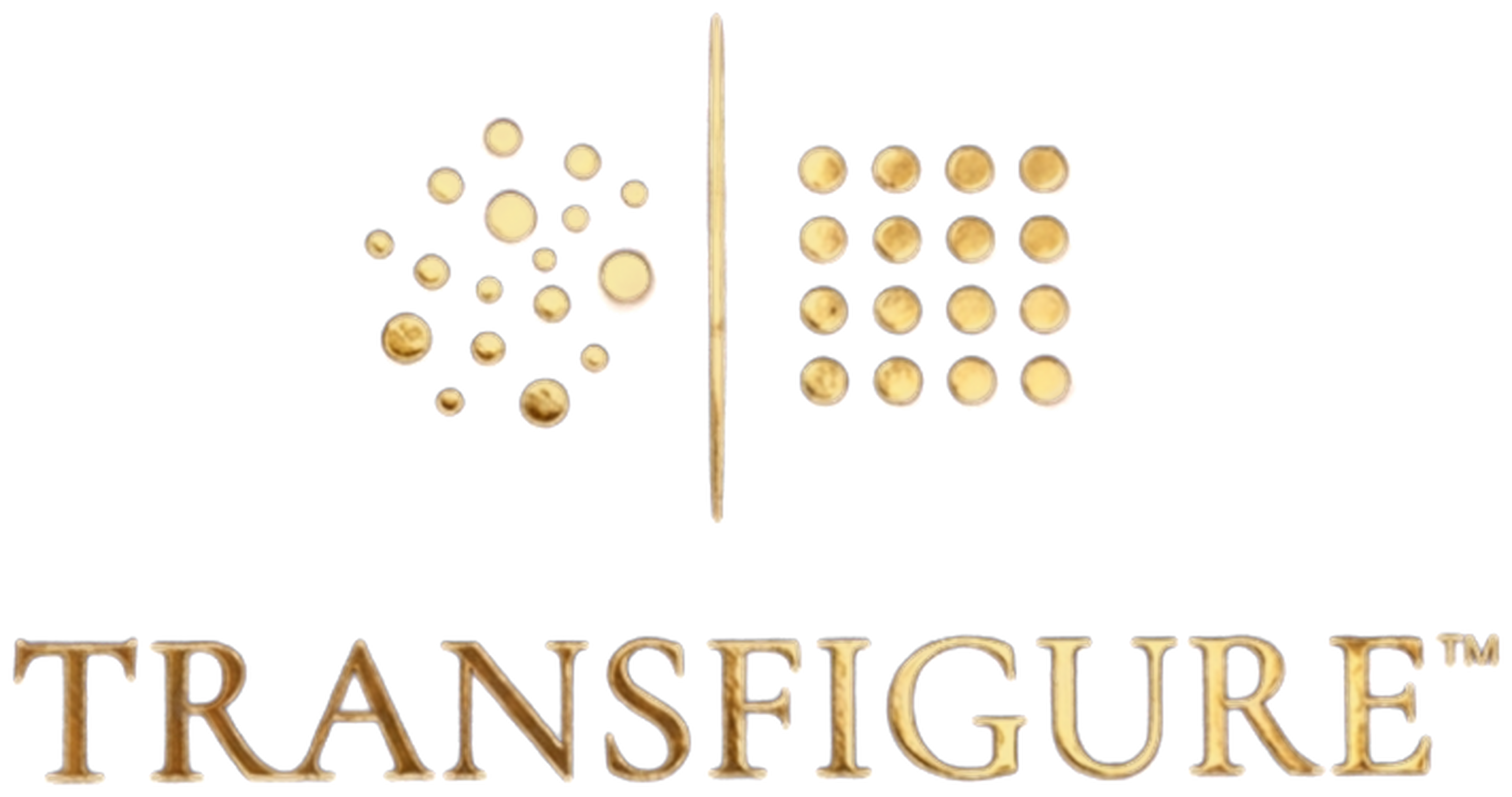 TRANSFIGURE™